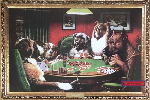 Bold bluff dogs playing - bluff,