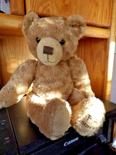 Large teddy bear plush toy - large,