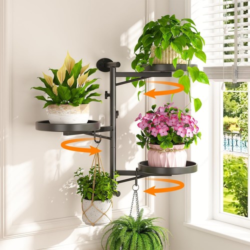 Rotating wall mount window - wall,