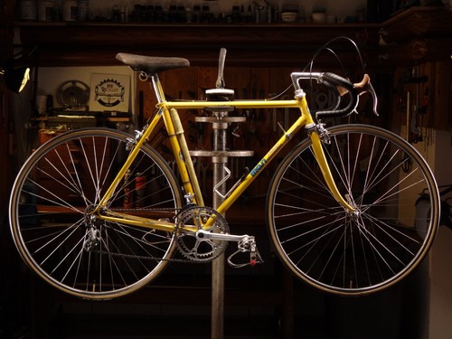 Masi prestige road - road,