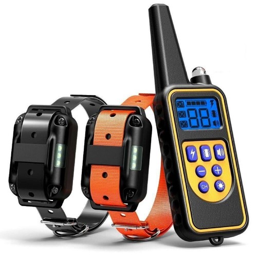 3000 dog training collar - dog,