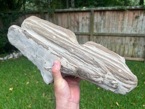 Texas petrified wood - texas,
