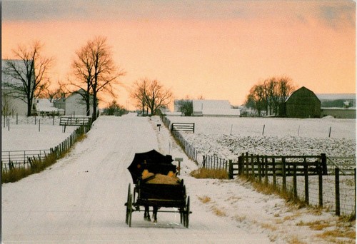 Winter amish country - winter, in