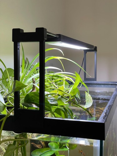 Risers fluval plant marine - risers,