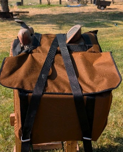 Western horse riding - horse, saddle