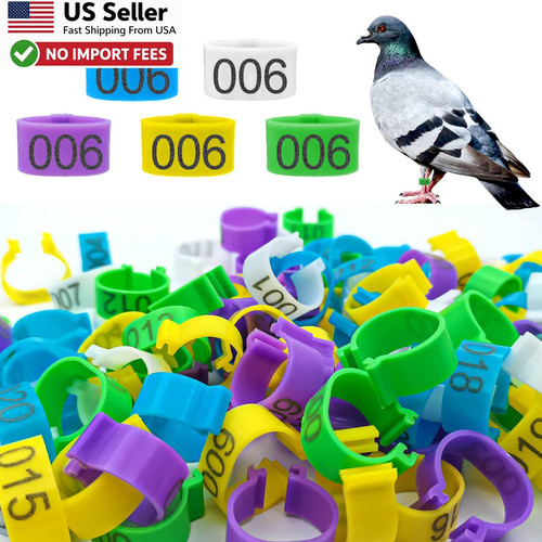 8mm 100pcs pigeon leg bands - 8mm,