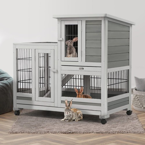 Rabbit hutch pet house - hutch,