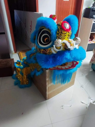 Lion dance mascot - dance,