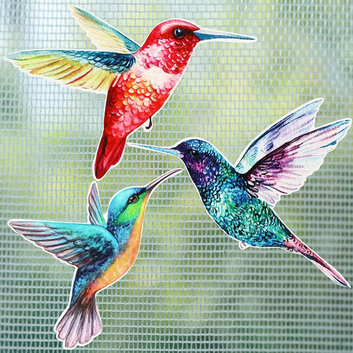 Pcs hummingbird screen door - pcs,