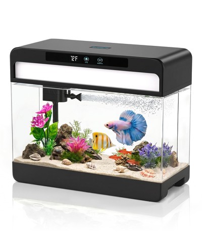 Gallon fish tank starter - 3,