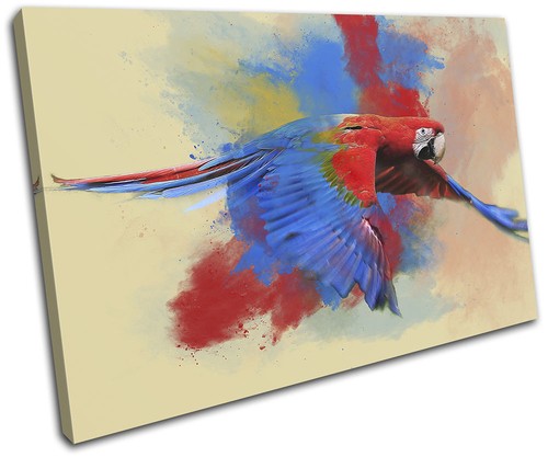 Abstract bird macaw - abstract,