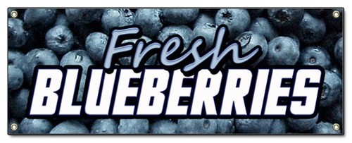Fresh blueberries banner - fresh,