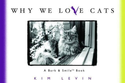 Why love cats - we,