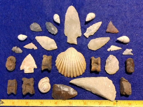 Ancient texas arrowheads - 24,