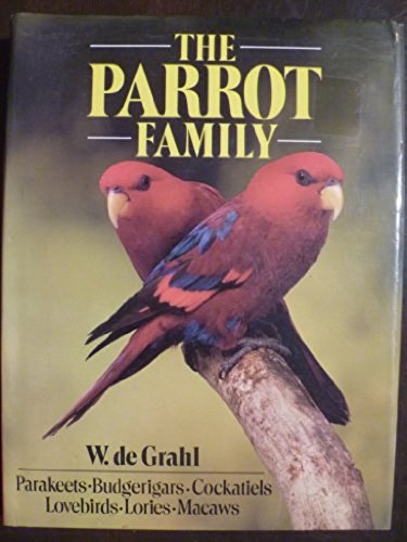 The parrot family parakeets - the,