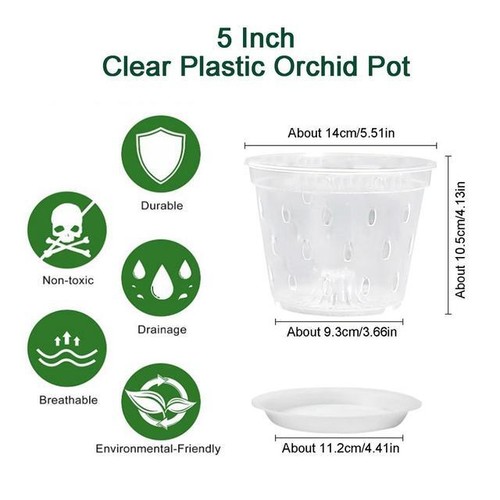 Clear orchid flower - clear,
