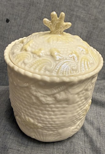Belleek ireland china biscuit - ireland,
