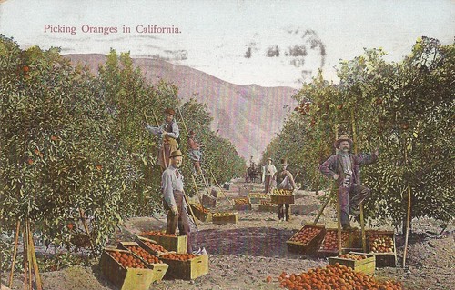 Agriculture california - -,