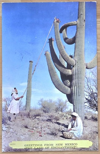 One kind new - kind!, mexico