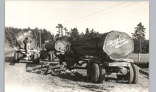 Redwood log truck - redwood,
