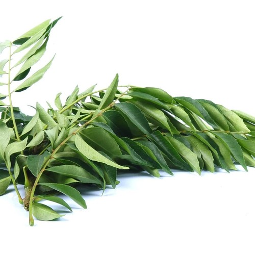 Curry leaves all - (170,