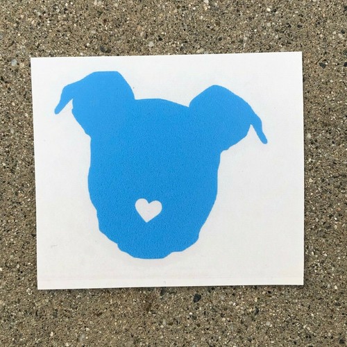Pit bull pitbull - bull, dog