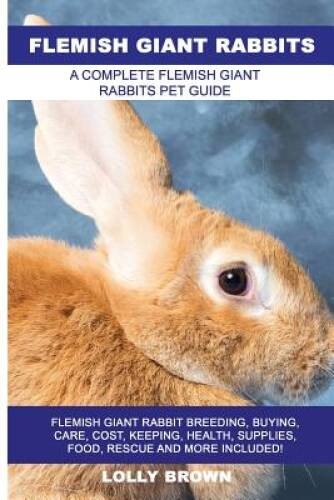 Flemish giant rabbits - flemish,