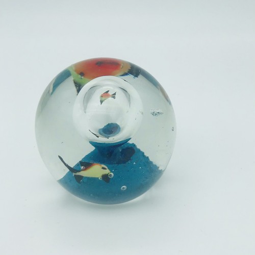 Aquarium art suspended - aquarium,