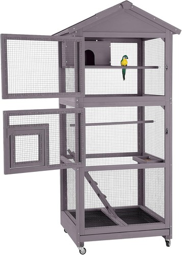 Bird cage outdoor - bird,