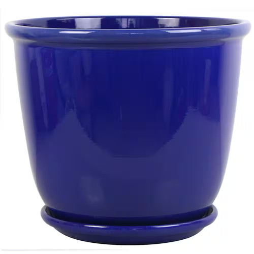 Delphine blue glazed - blue,