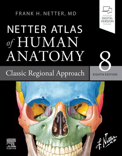 Netter atlas human - netter, anatomy