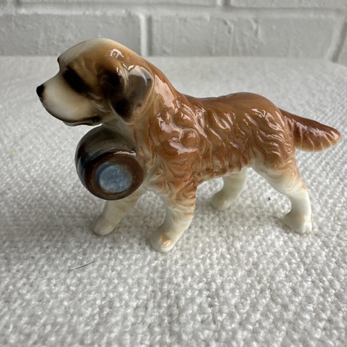 Miniature saint bernard - miniature,
