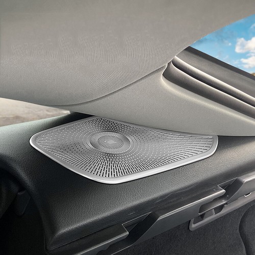 Car rear window horn hood - horn,
