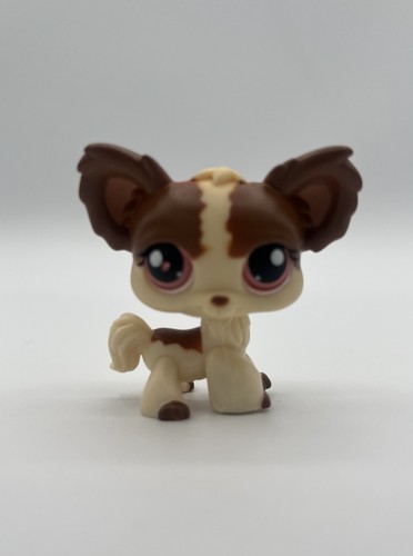 Littlest pet shop chihuahua - pet,