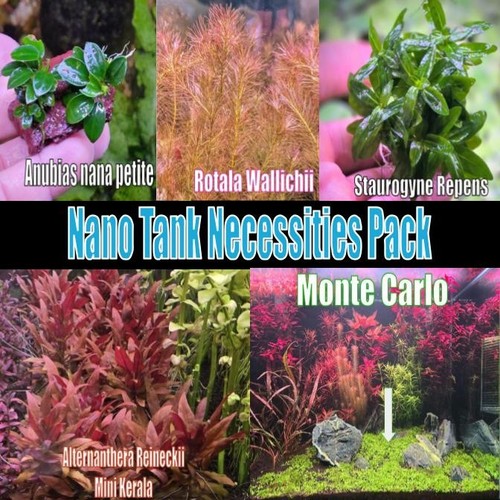 Nano tank necessities pack - necessities,