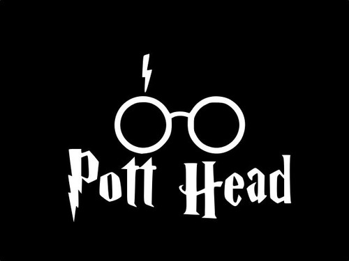 Harry potter pot head vinyl - potter,