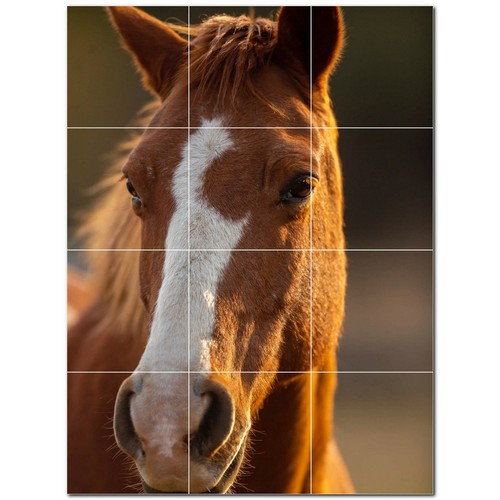 Horse ceramic tile wall mural - horse,