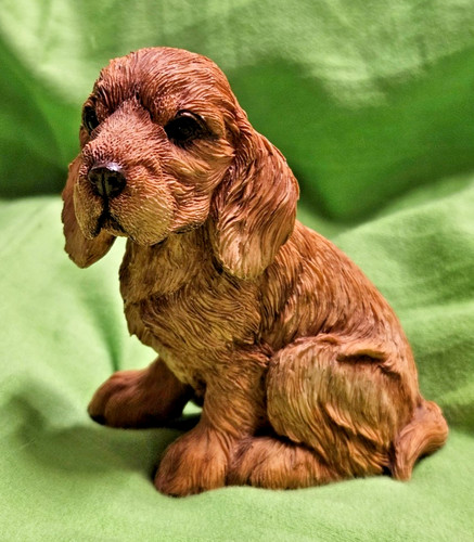 Cocker spaniel puppy - cocker, golden
