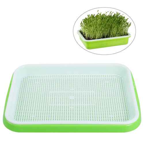 Tray growing for - tray,