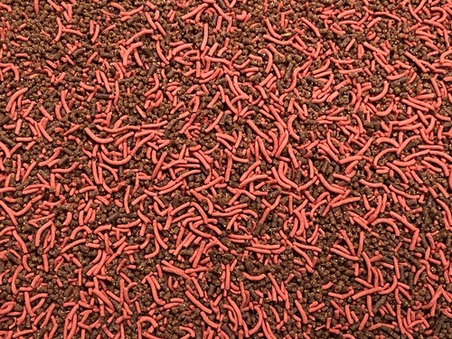 Tropical fish small mix soft - fish,