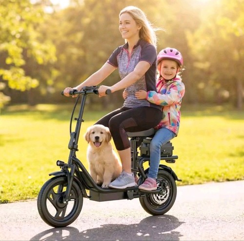 Folding electric scooter - folding,