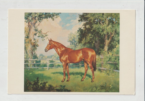 Man war sire - sire, fair