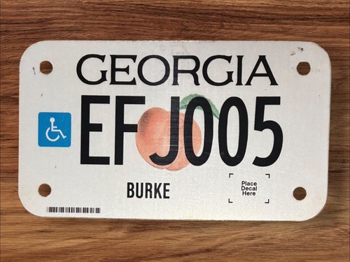 Georgia handicapped wheelchair - georgia,