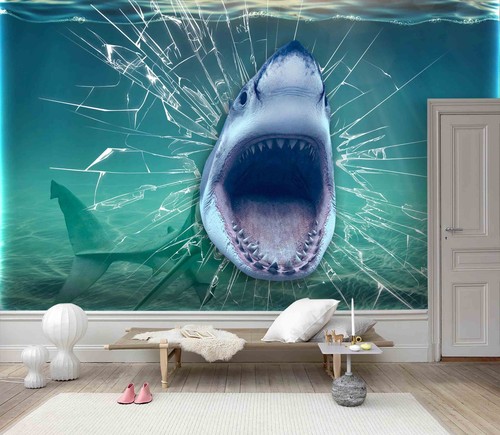 Aquarium glass shark - aquarium, wall