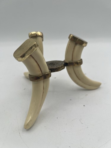 Vintage warthog tusk - tusk, tripod