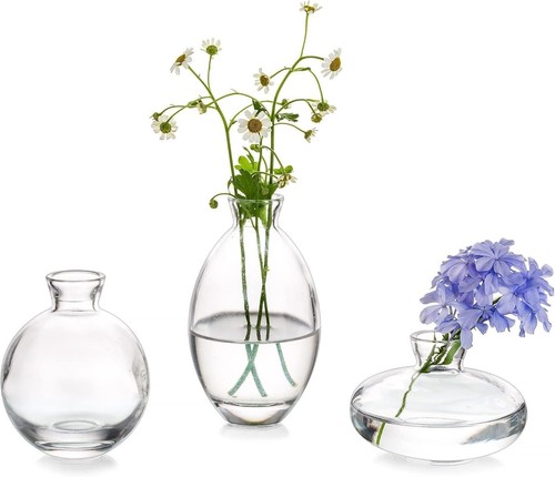 Glass bud vase set - glass,
