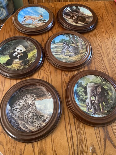 Endangered wildlife collector - endangered,
