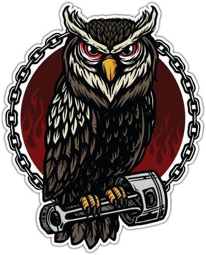Owl forest night wise bird - wise,