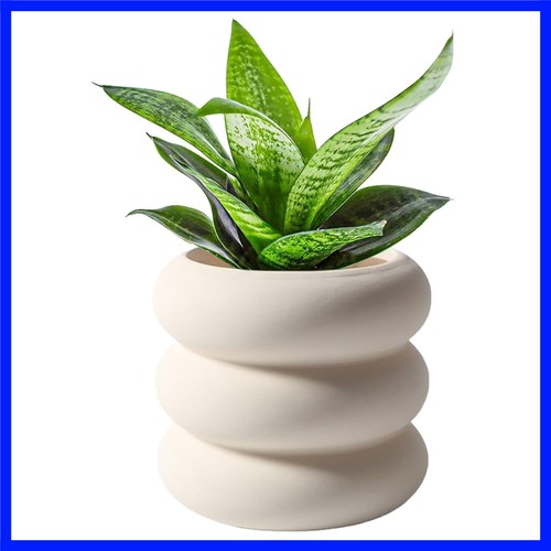Ceramic plant pot - ceramic,