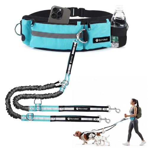 Waist leash for double - leash, dog